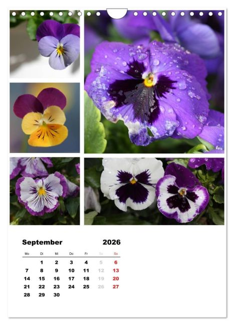 additionalImage14