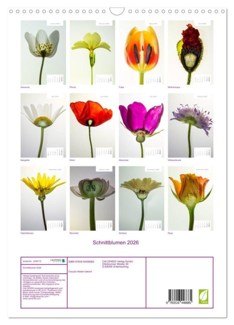 additionalImage5