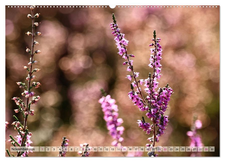 additionalImage3