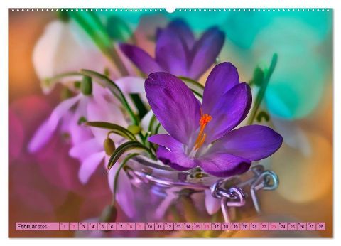 additionalImage6