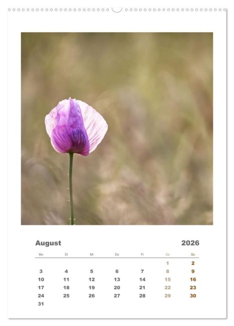 additionalImage13