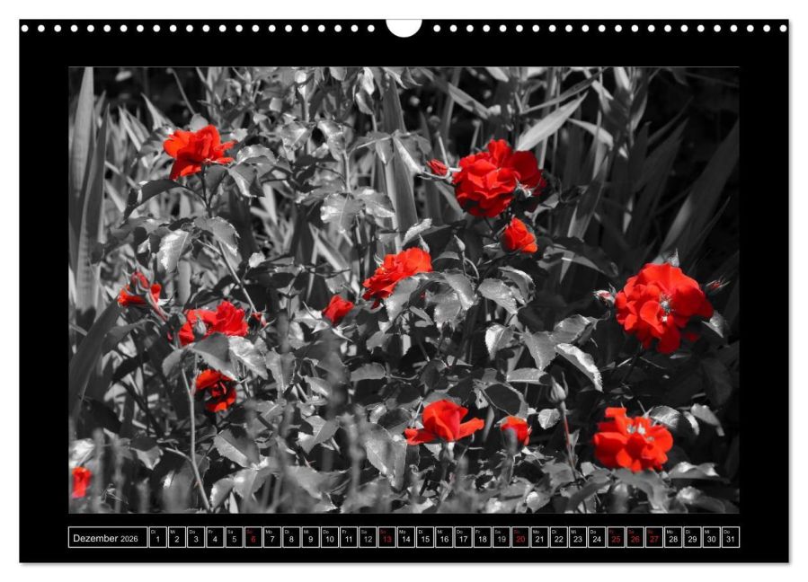 additionalImage4