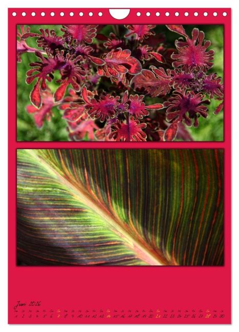 additionalImage11