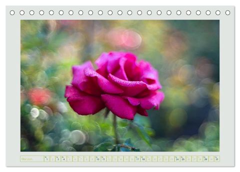 additionalImage10