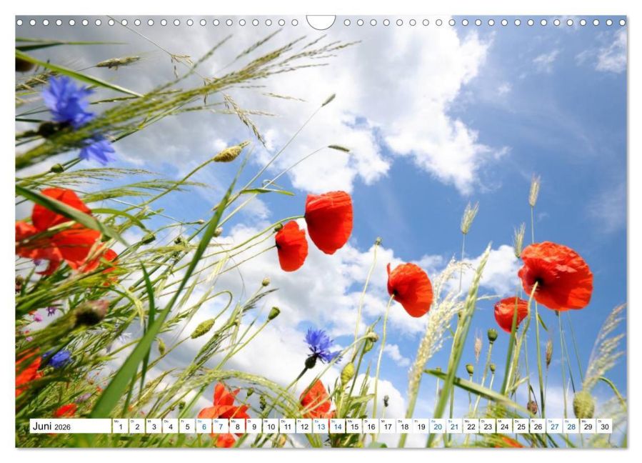 additionalImage11
