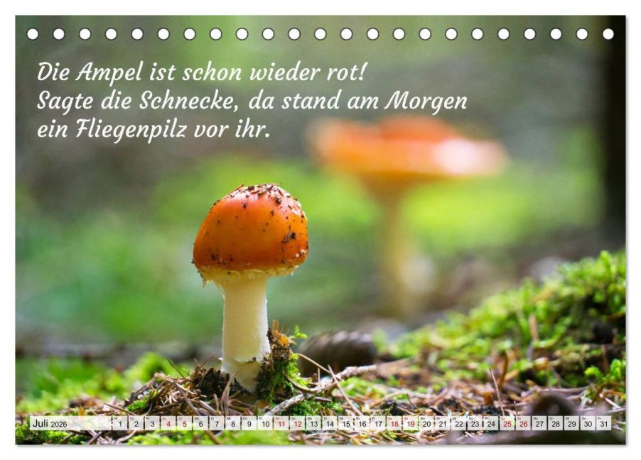 additionalImage12