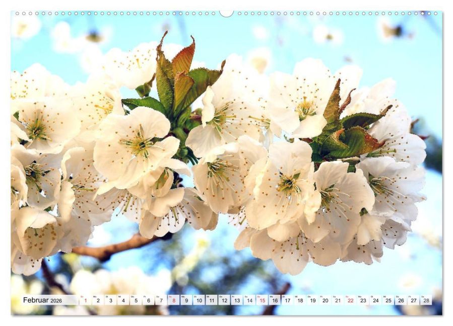 additionalImage6