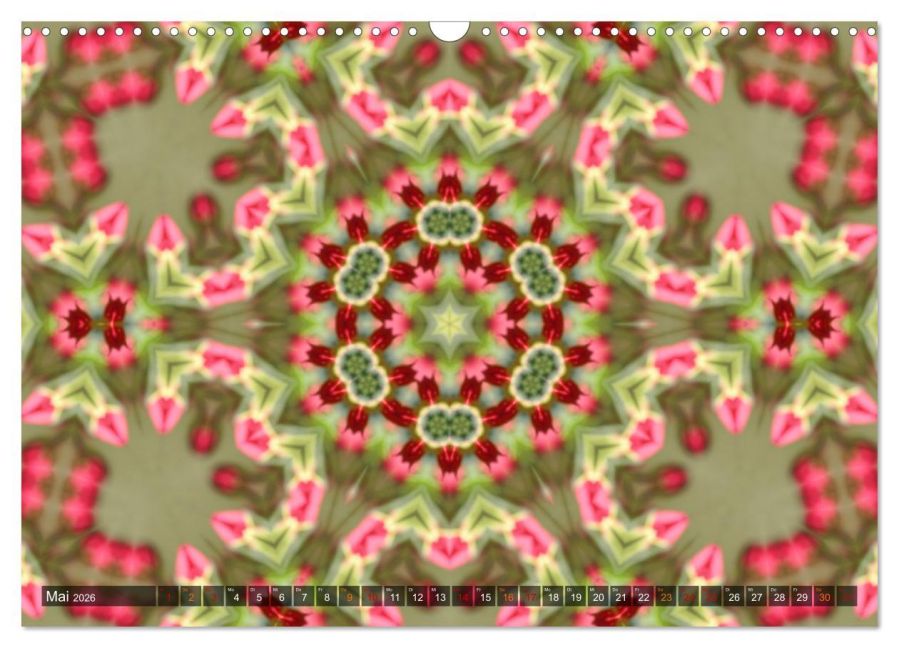 additionalImage10