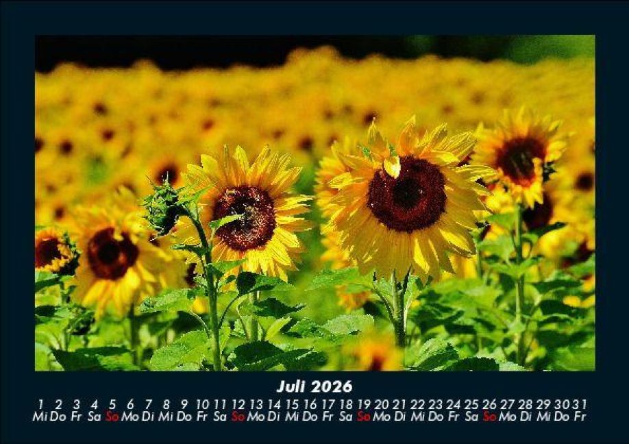 additionalImage11