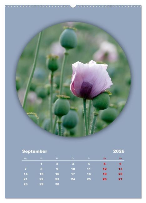 additionalImage13