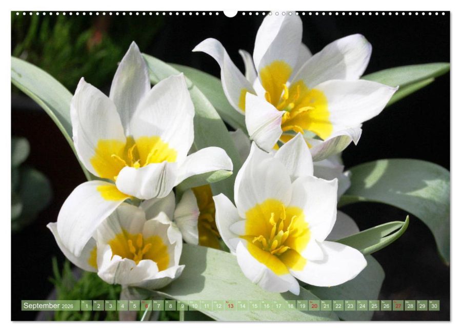 additionalImage14