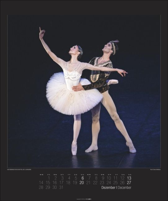 additionalImage12