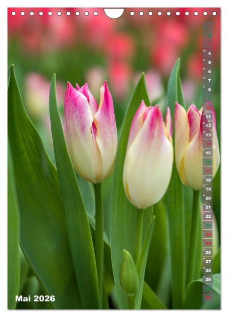 additionalImage10