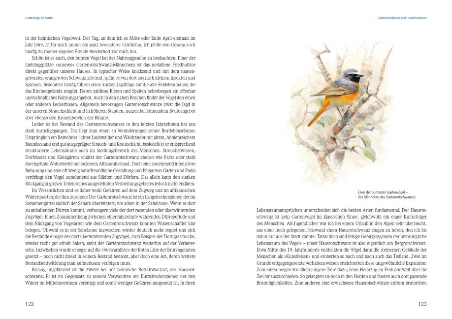 additionalImage2