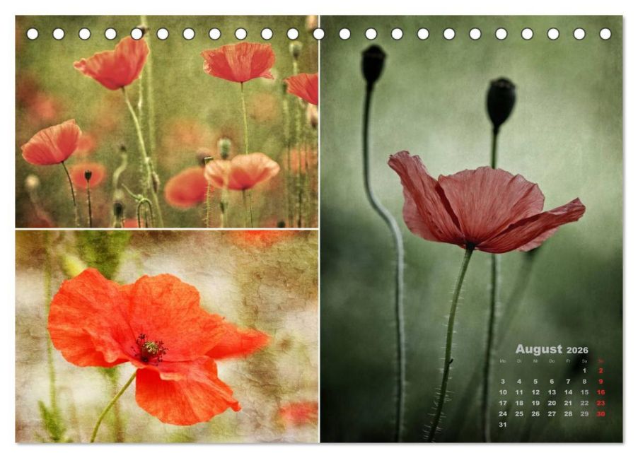 additionalImage13