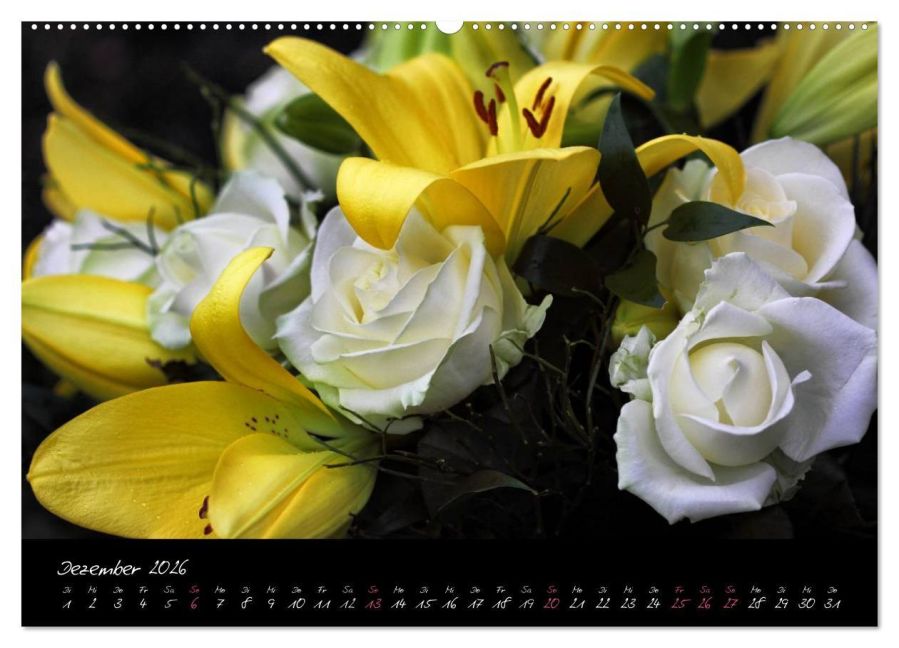 additionalImage4