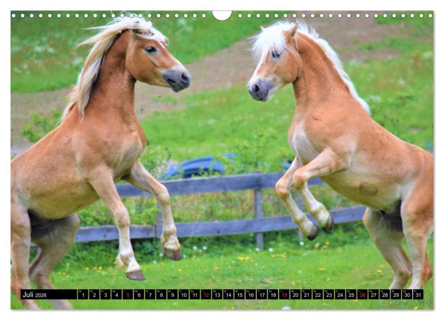 additionalImage12