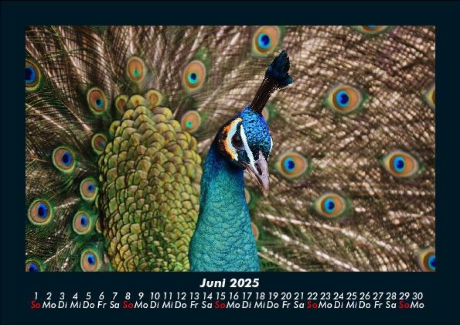 additionalImage10