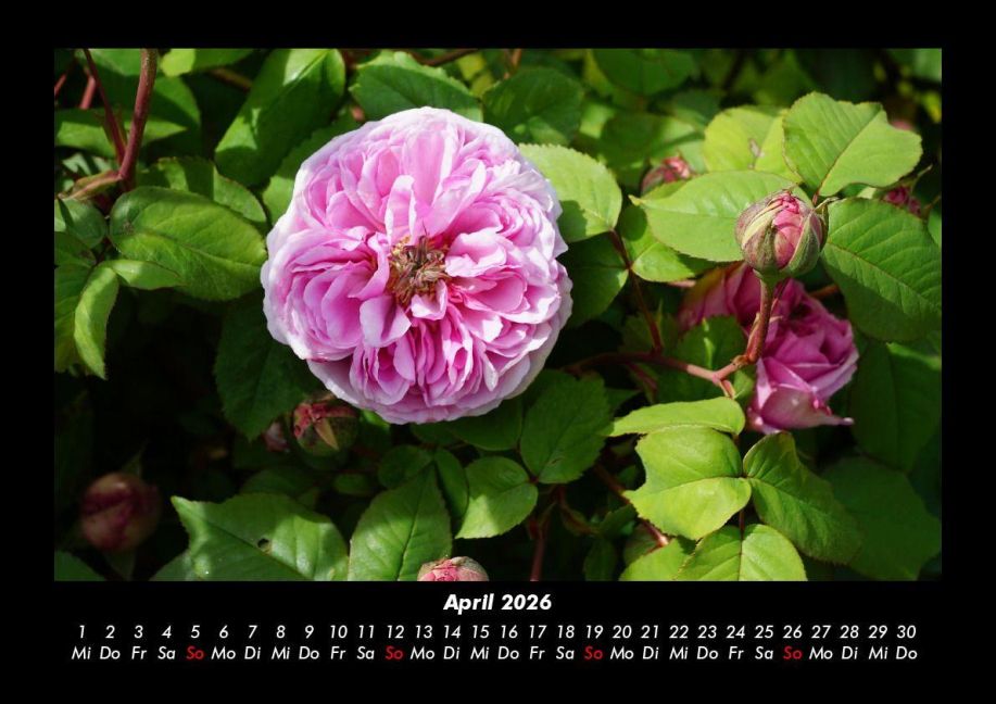 additionalImage8