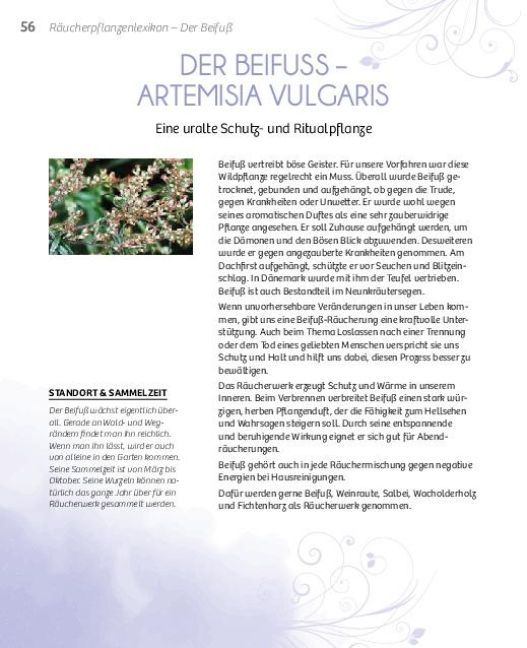 additionalImage6
