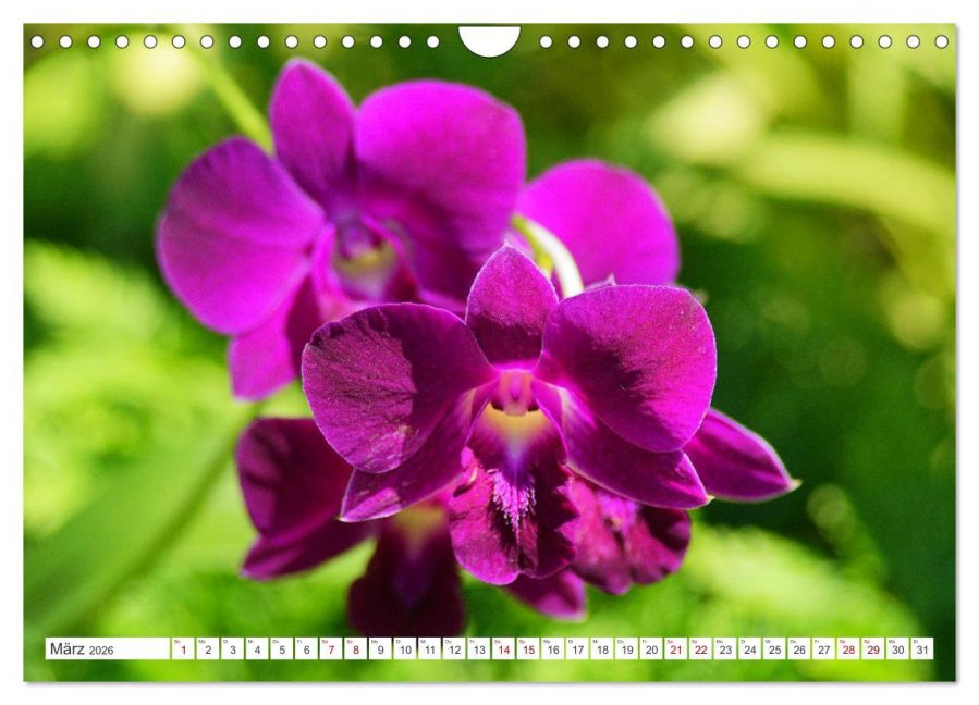 additionalImage8