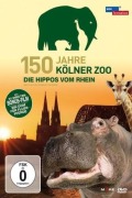 Cover-Bild zum Titel '150 Jahre Kölner Zoo - Die Hippos vom Rhein' von ''
