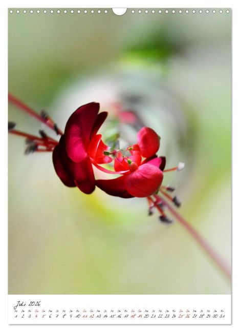 additionalImage12