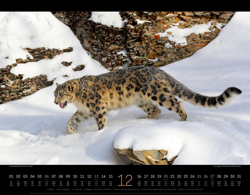 additionalImage12