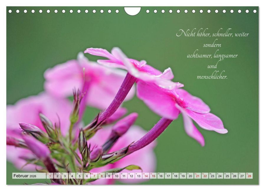 additionalImage7