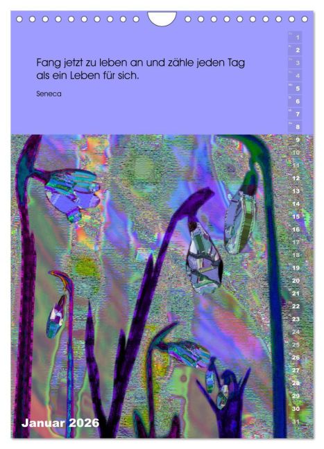 additionalImage6