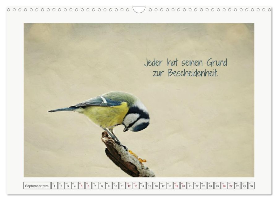 additionalImage14