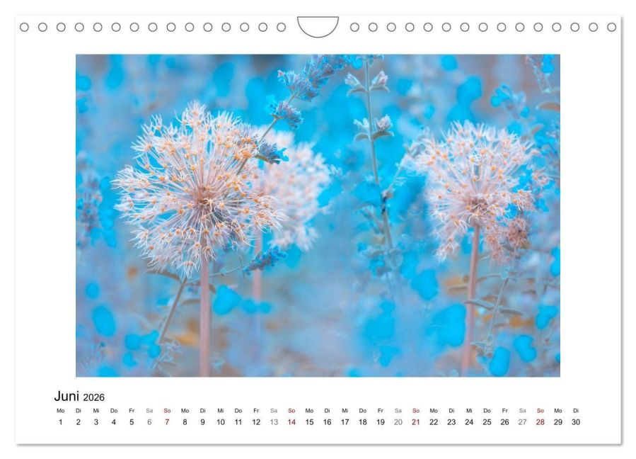 additionalImage11