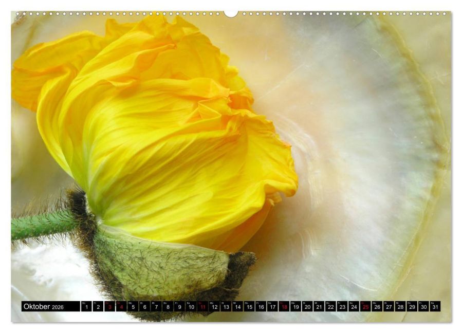 additionalImage2