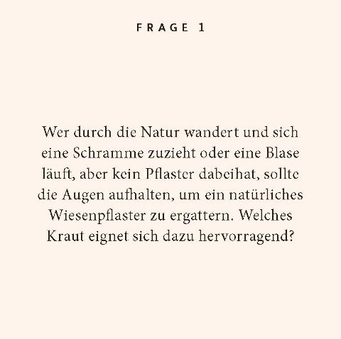 additionalImage1