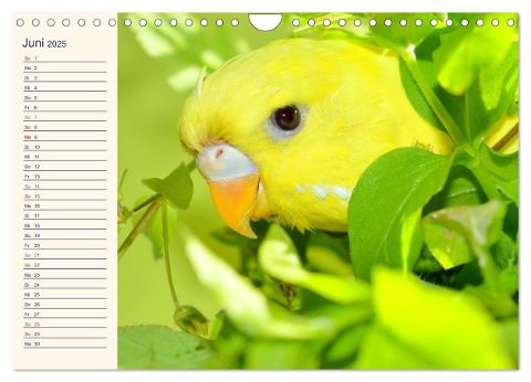additionalImage11