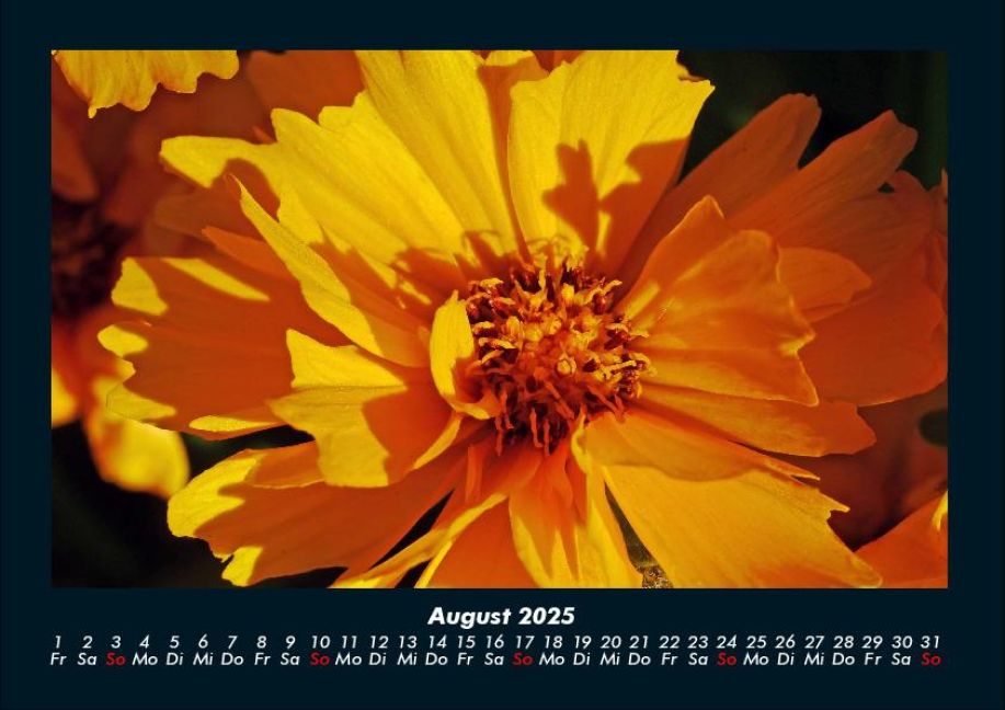additionalImage12