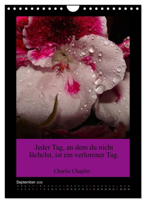 additionalImage14