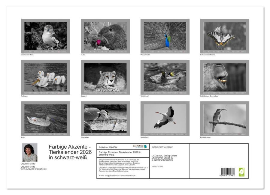additionalImage5