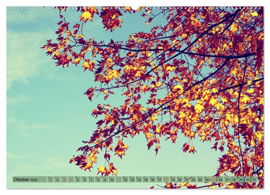additionalImage2