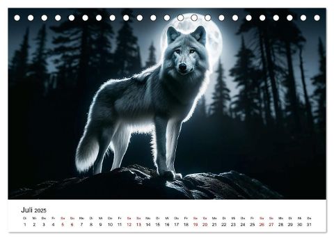additionalImage12