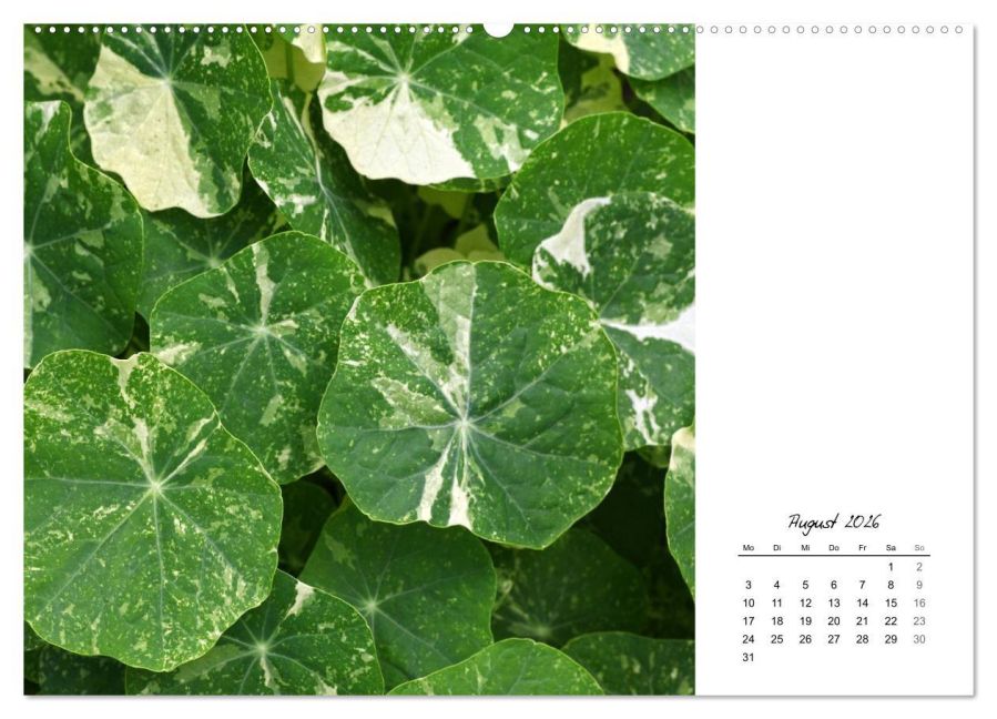 additionalImage12