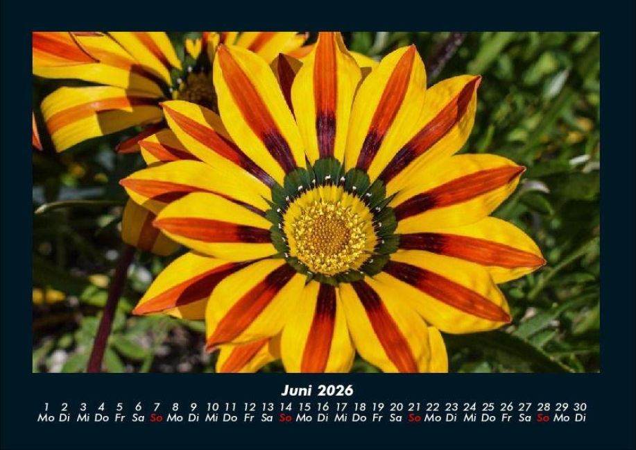additionalImage10