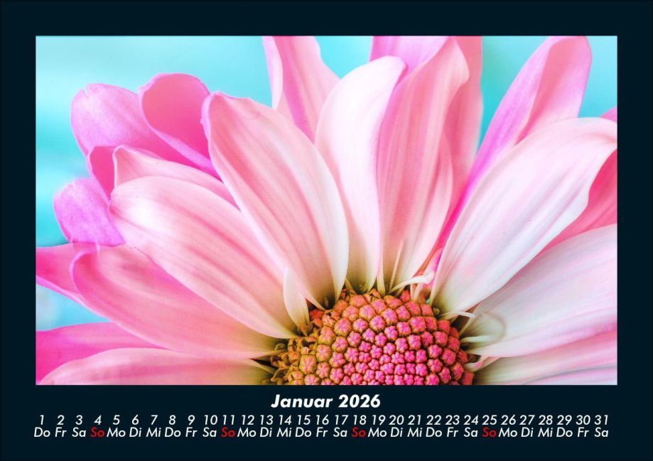 additionalImage5