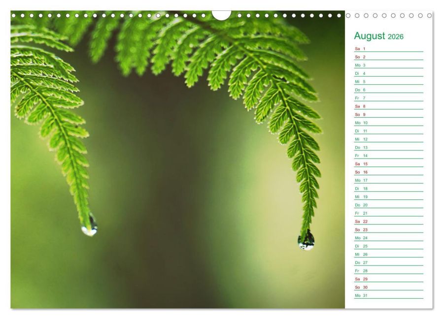 additionalImage13