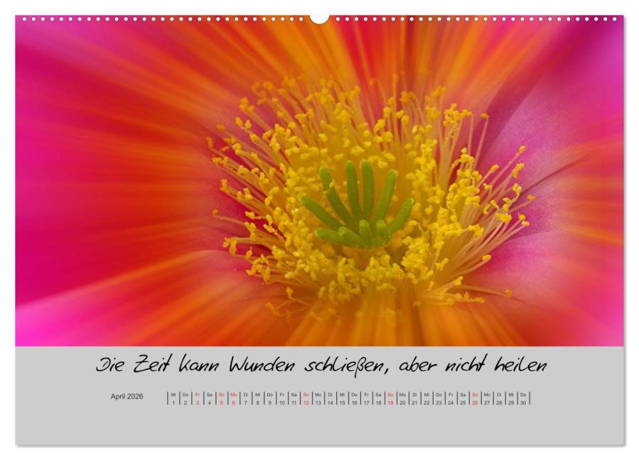 additionalImage8