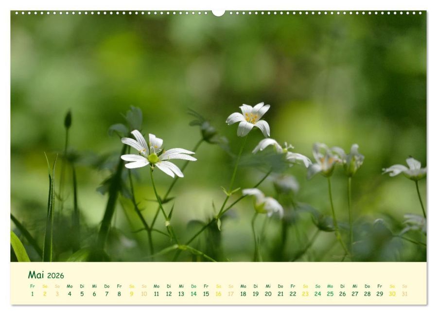 additionalImage10