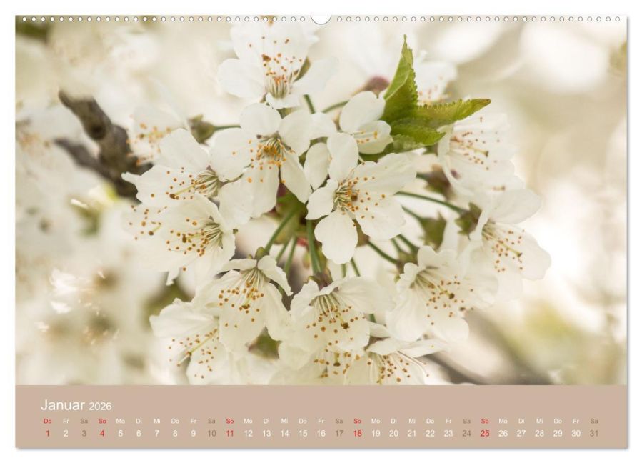 additionalImage5