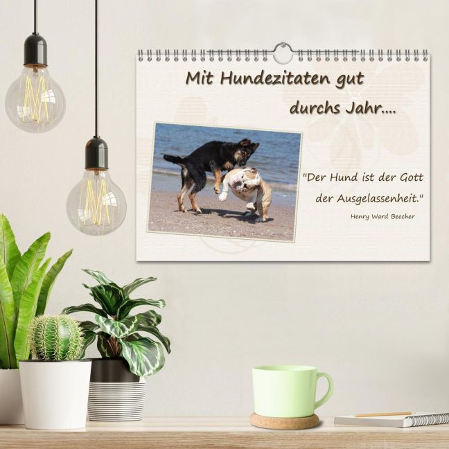 additionalImage1
