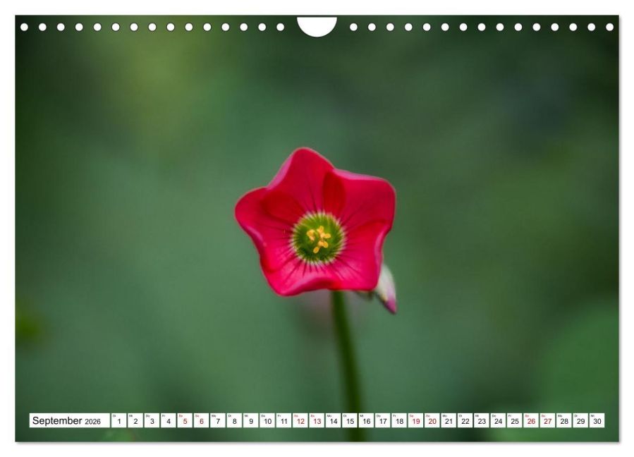 additionalImage14