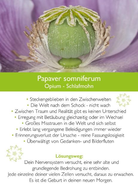 additionalImage5